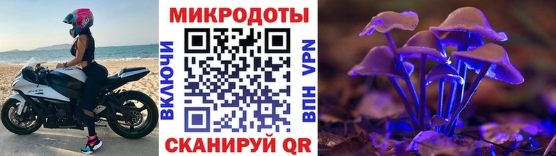 закладки  Урень  это состав  Псилоцибиновые грибы мухоморы 